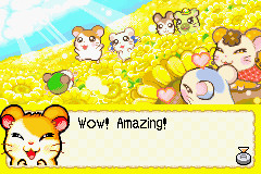 screenshots/Game Boy Advance/Hamtaro - Rainbow Rescue/Hamtaro - Rainbow Rescue (Eng) 052.png
